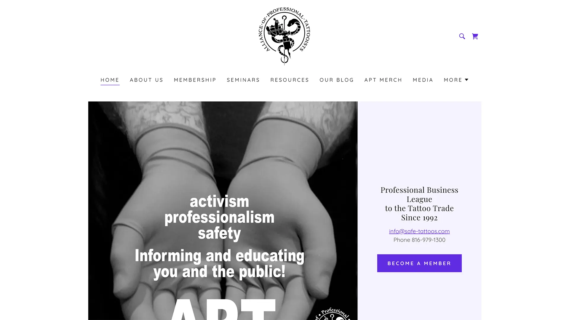 Alliance of Professional Tattooists (APT) Interface