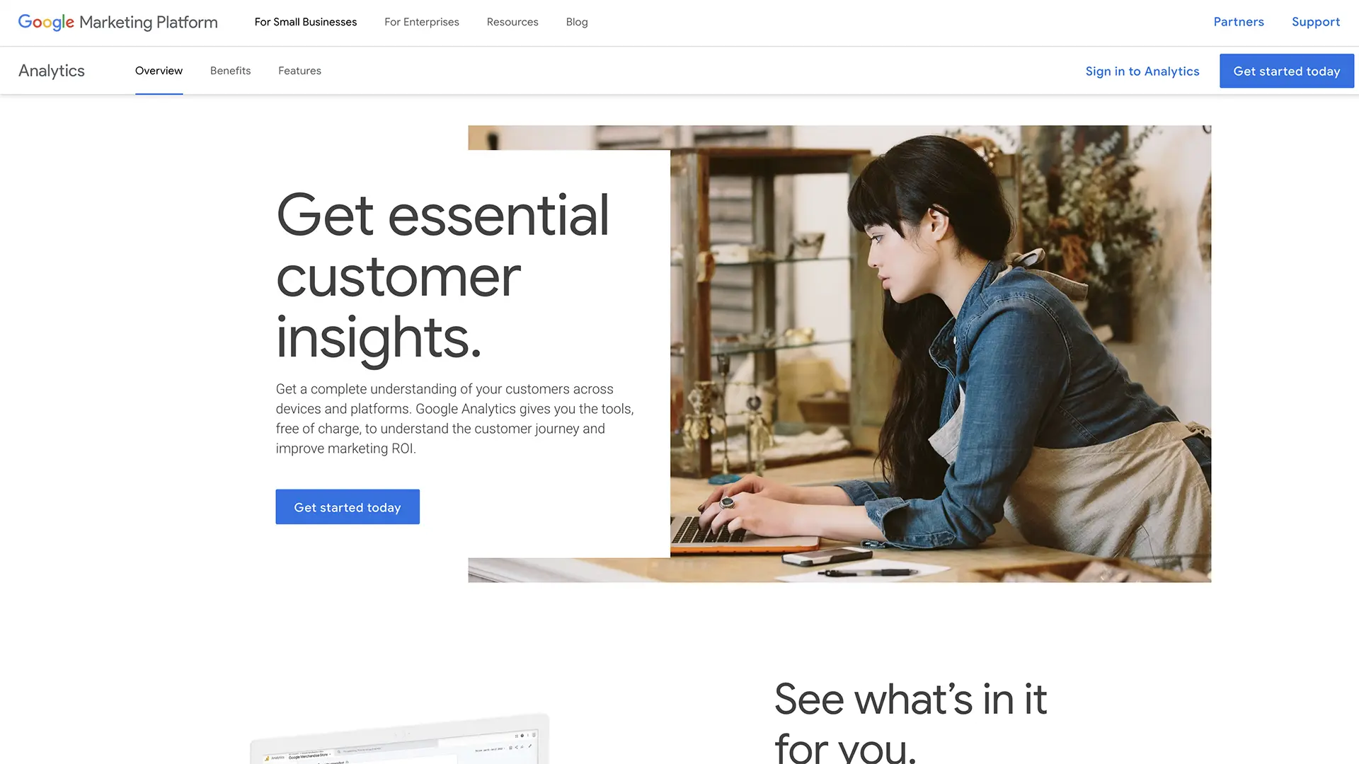 Google Analytics Interface